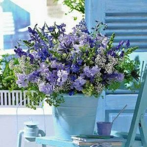 Meet your Posher, Linda